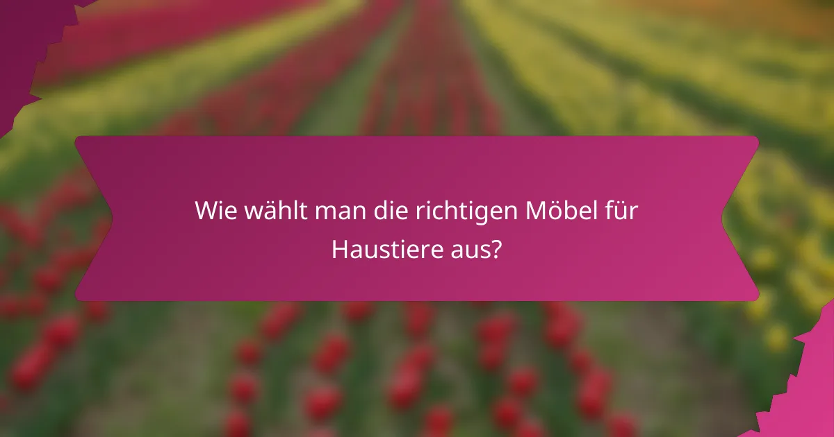 Wie wählt man die richtigen Möbel für Haustiere aus?